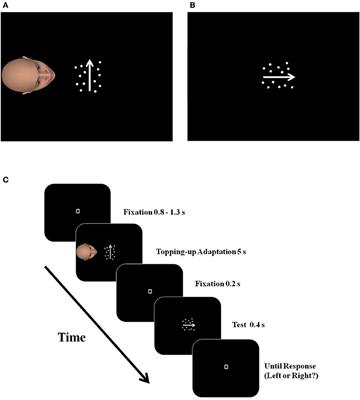 Mentalizing Another's Visual World—A Novel Exploration via Motion Aftereffect